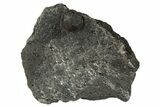 Red Embers Garnet in Graphite - Massachusetts #313449-1